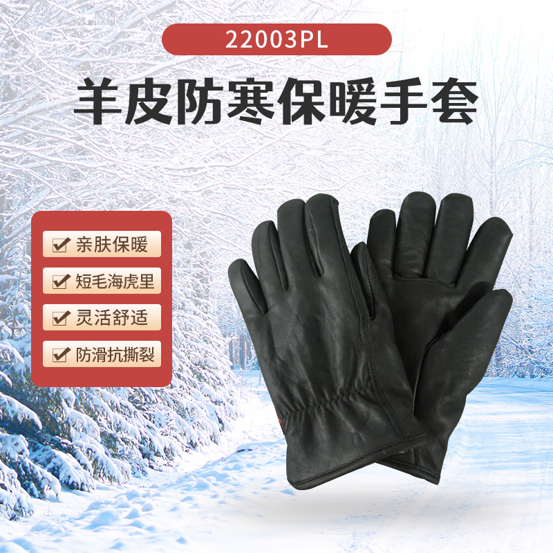 孟兽-22020PL